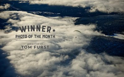 Photo of the Month – May