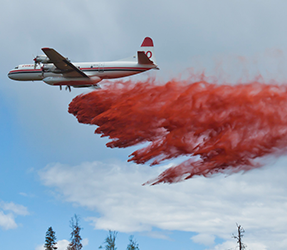 Firefighter training in Fraser Valley for the 2023 fire season